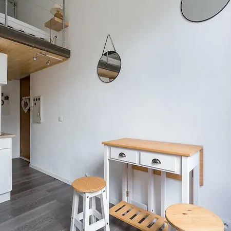 Nice Studio With Mezzanine *croix-rousse* Apartment